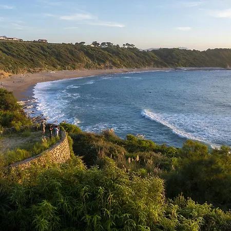 Bonjour Sauvage Jean De Luz