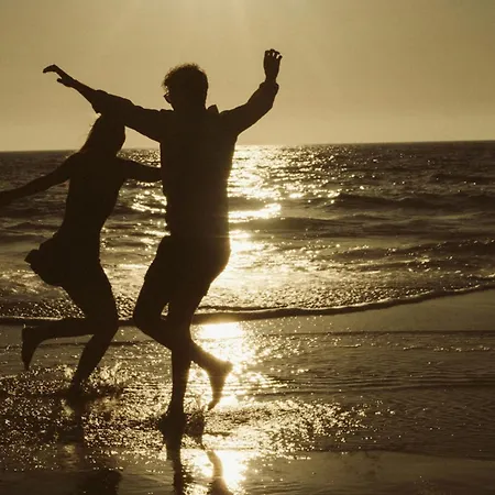 Bonjour Sauvage Jean De Luz Saint-Jean-de-Luz