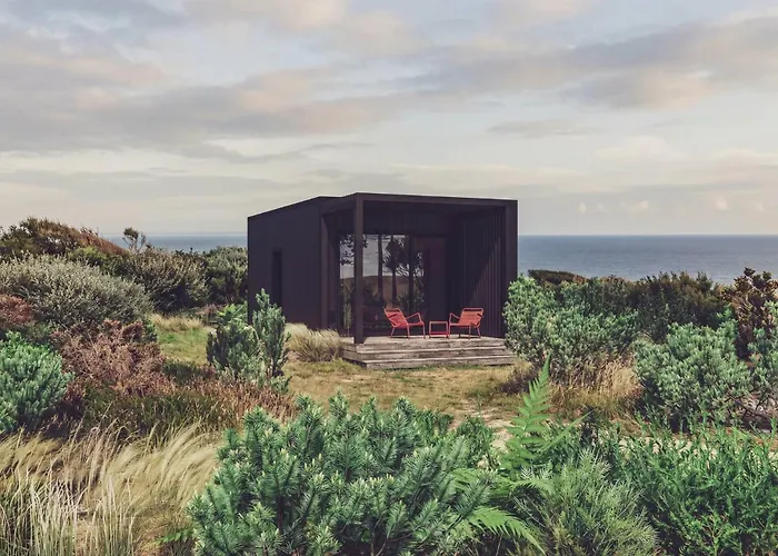 Bonjour Sauvage Jean De Luz Campeggio *