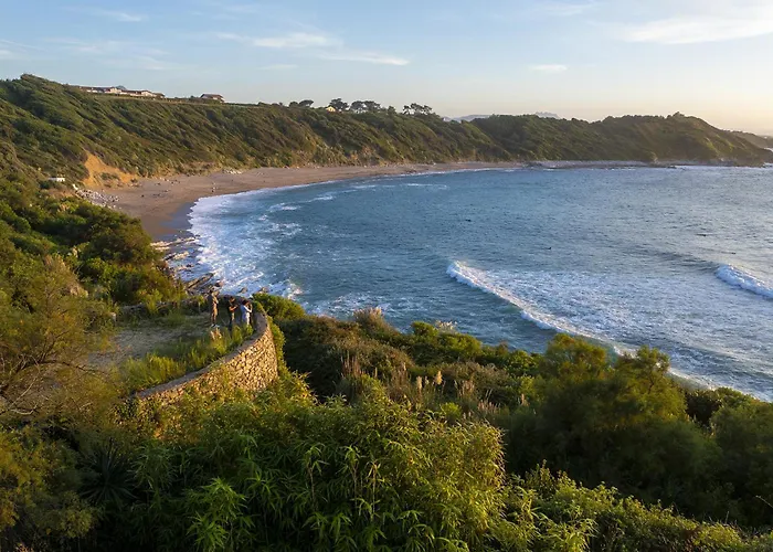 Bonjour Sauvage Jean De Luz