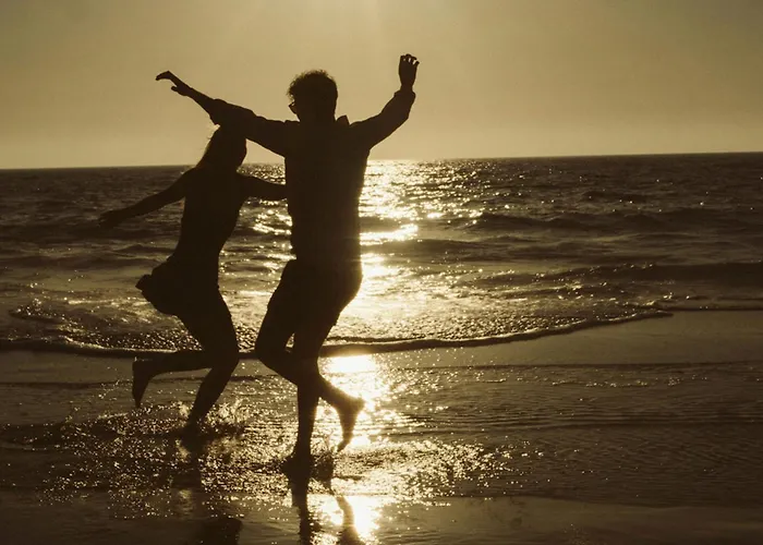 Bonjour Sauvage Jean De Luz Saint-Jean-de-Luz