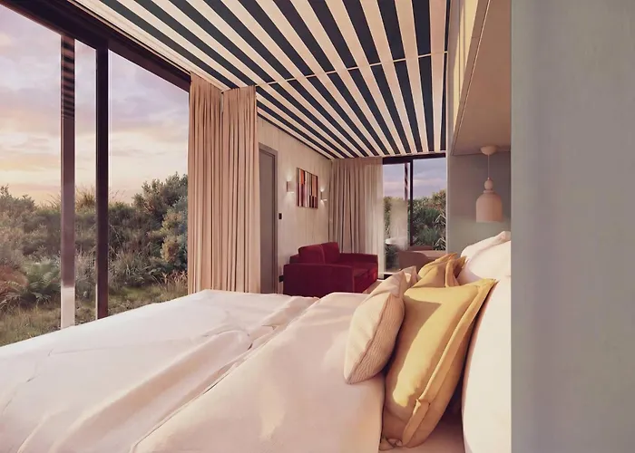 Bonjour Sauvage Jean De Luz *