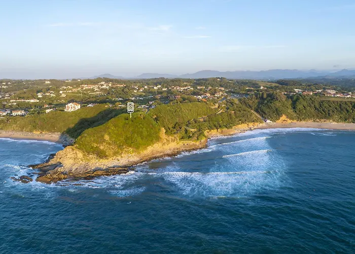Bonjour Sauvage Jean De Luz *